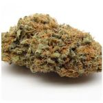 Шишки AK47  (Гидропоника, Бошка) VHQ в Фрязино